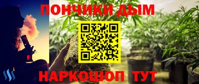 ешки Краснознаменск