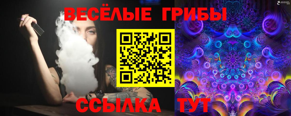где продают наркотики  Псилоцибиновые грибы мухоморы  Вход с VPN  Волгодонск 